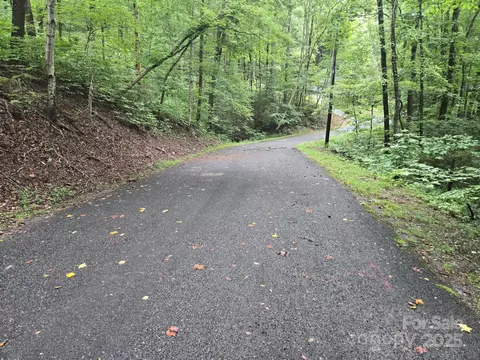 Chalet Road, Lake Lure, NC 28746