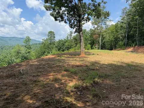 Lazy Bear Lane, Purlear, NC 28665 photo 10