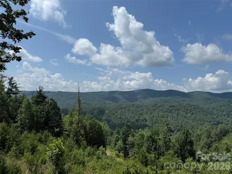 Lazy Bear Lane, Purlear, NC 28665 photo 6