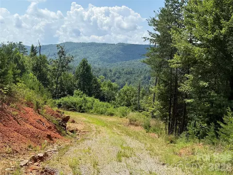 Lazy Bear Lane, Purlear, NC 28665 photo 18