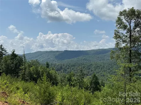 Lazy Bear Lane, Purlear, NC 28665 photo 17
