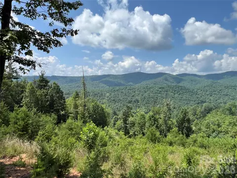 Lazy Bear Lane, Purlear, NC 28665 photo 13
