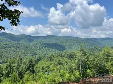 Lazy Bear Lane, Purlear, NC 28665 photo 29