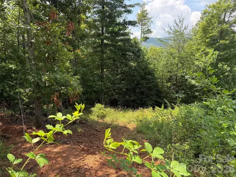 Lazy Bear Lane, Purlear, NC 28665 photo 24