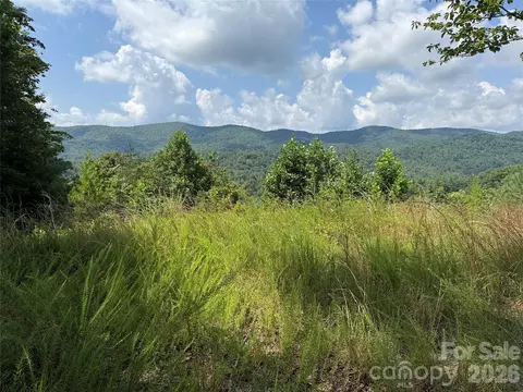 Lazy Bear Lane, Purlear, NC 28665 photo 20