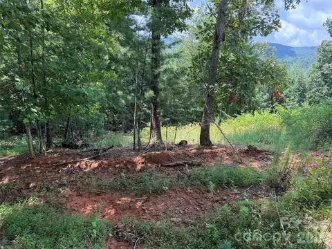 Lazy Bear Lane, Purlear, NC 28665 photo 26