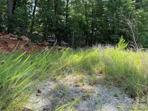 Lazy Bear Lane, Purlear, NC 28665 photo 22