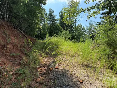 Lazy Bear Lane, Purlear, NC 28665 photo 21
