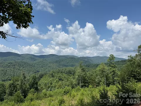 Lazy Bear Lane, Purlear, NC 28665 photo 12