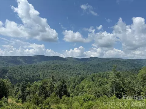 Lazy Bear Lane, Purlear, NC 28665 photo 7