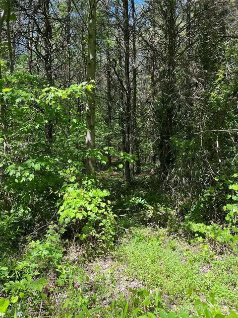 00 Hardy Rd, Harmony, NC 27028 photo 11