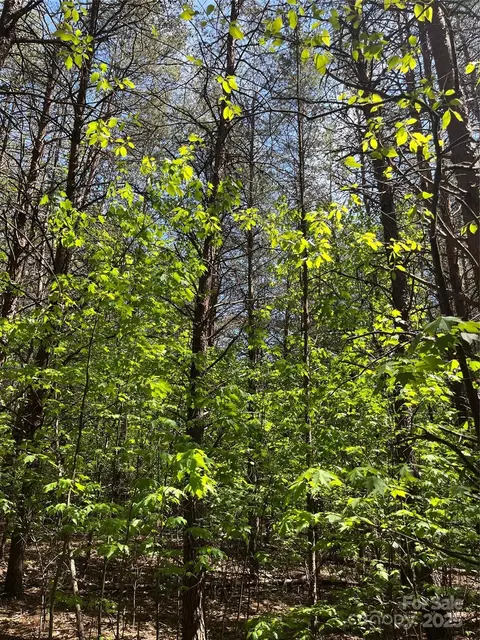 00 Hardy Rd, Harmony, NC 27028 photo 6