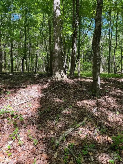 00 Hardy Rd, Harmony, NC 27028 photo 5