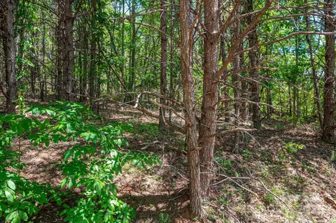 Meadow Crossing Drive, Rutherfordton, NC 28139