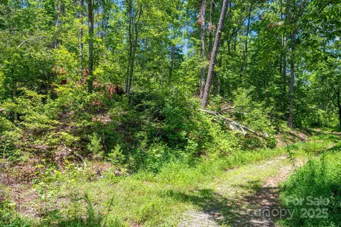 Plantation Drive, Rutherfordton, NC 28139