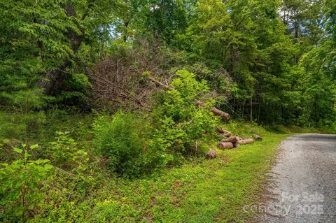 Plantation Drive, Rutherfordton, NC 28139