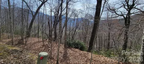 99999 Maplewood Dr, Maggie Valley, NC 28751