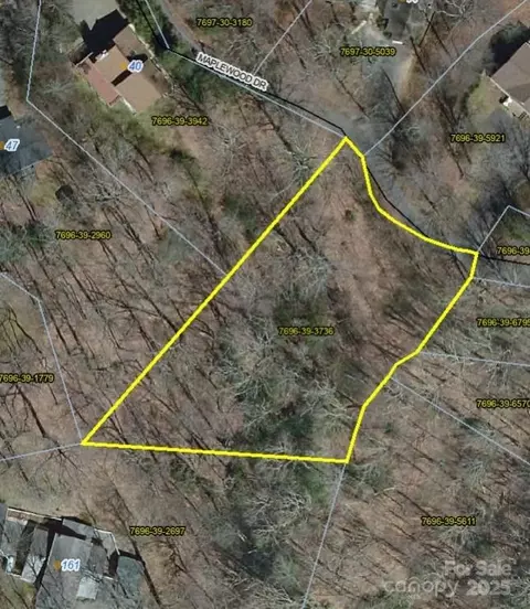 99999 Maplewood Dr, Maggie Valley, NC 28751