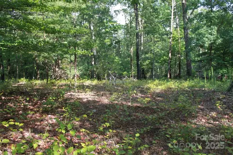 00 Lail Rd, Rutherfordton, NC 28139