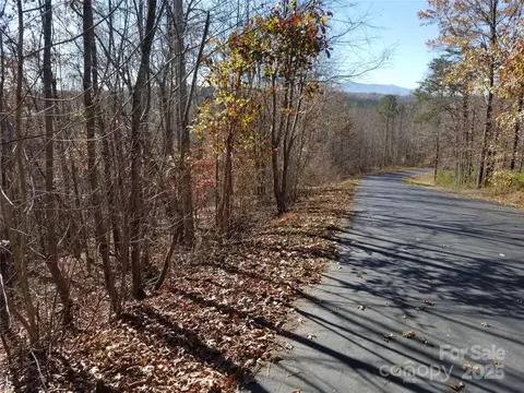 Cross Creek Trail, Mill Spring, NC 28756 photo 7