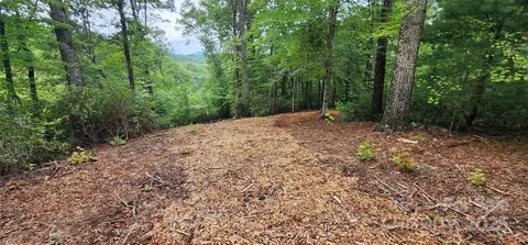 Cross Creek Trail, Mill Spring, NC 28756 photo 18