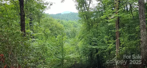 Cross Creek Trail, Mill Spring, NC 28756 photo 17