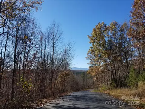 Cross Creek Trail, Mill Spring, NC 28756 photo 8