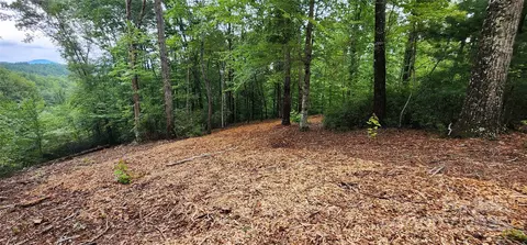 Cross Creek Trail, Mill Spring, NC 28756 photo 16