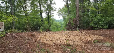 Cross Creek Trail, Mill Spring, NC 28756 photo 24