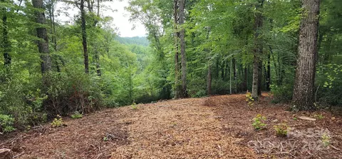 Cross Creek Trail, Mill Spring, NC 28756 photo 20