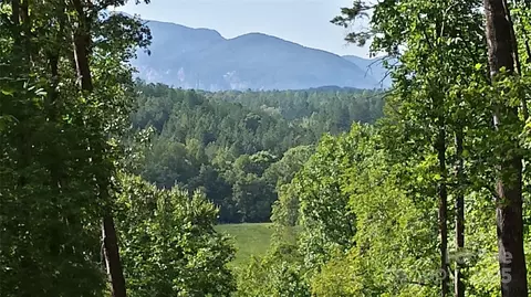 Cross Creek Trail, Mill Spring, NC 28756 photo 11