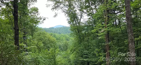 Cross Creek Trail, Mill Spring, NC 28756 photo 3