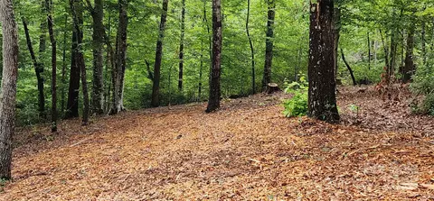Cross Creek Trail, Mill Spring, NC 28756 photo 13