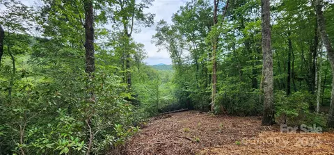 Cross Creek Trail, Mill Spring, NC 28756 photo 15