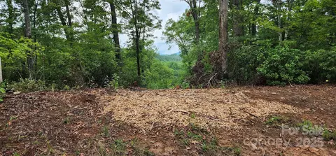 Cross Creek Trail, Mill Spring, NC 28756 photo 25