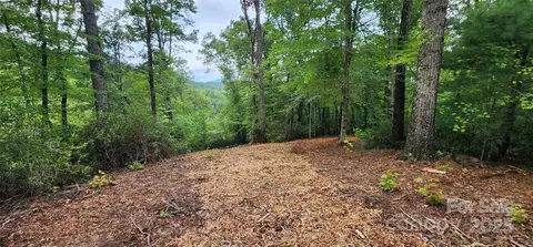 Cross Creek Trail, Mill Spring, NC 28756 photo 19