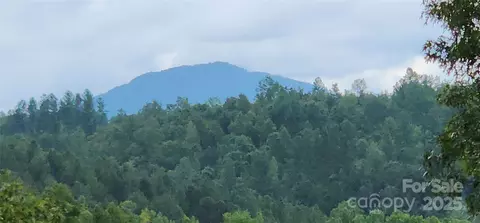 Cross Creek Trail, Mill Spring, NC 28756 photo 12
