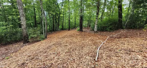 Cross Creek Trail, Mill Spring, NC 28756 photo 14