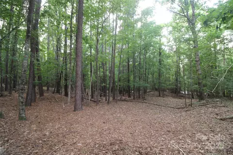 Lake Wylie Drive, Rock Hill, SC 29732