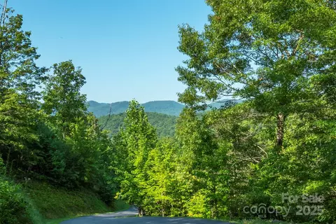 230 White Rapid Rd, Marshall, NC 28753