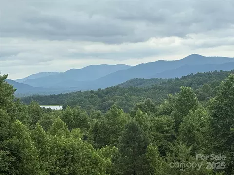 166 Coal Pit Mountain 359 Dr #359, Nebo, NC 28761
