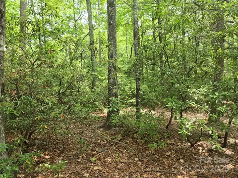 Eagles Crest Way, Lake Lure, NC 28746