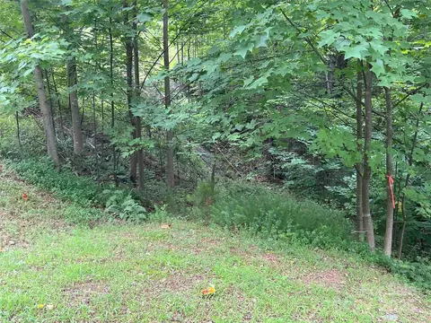00 Deep Gap E 97 Rd E #97, Mill Spring, NC 28756 photo 7