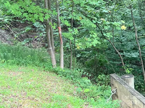 00 Deep Gap E 97 Rd E #97, Mill Spring, NC 28756 photo 6