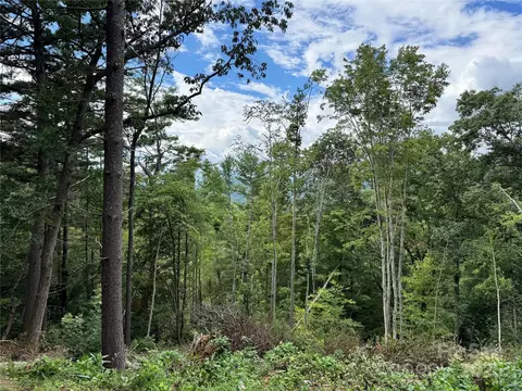44 Stanley Hollow Rd, Weaverville, NC 28787