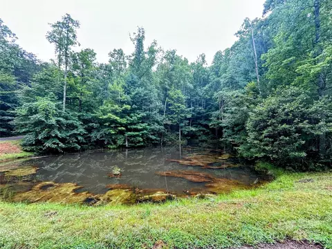 Azalea Way, Saluda, NC 28773 photo 2