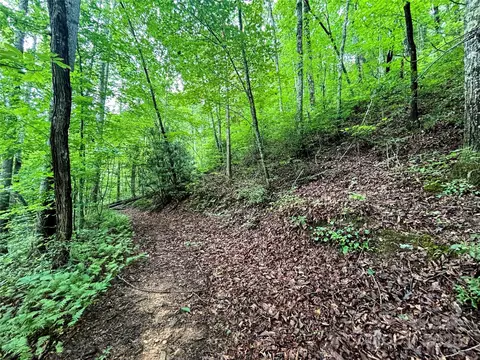 Azalea Way, Saluda, NC 28773 photo 7