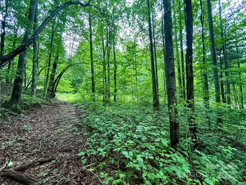 Azalea Way, Saluda, NC 28773 photo 4