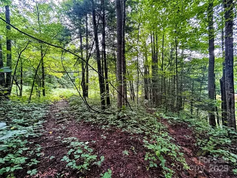 Azalea Way, Saluda, NC 28773 photo 3
