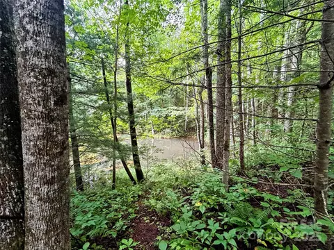 Azalea Way, Saluda, NC 28773 photo 6